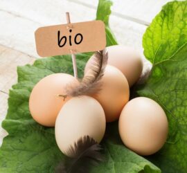 Sind Bio Eier die bessere Wahl?