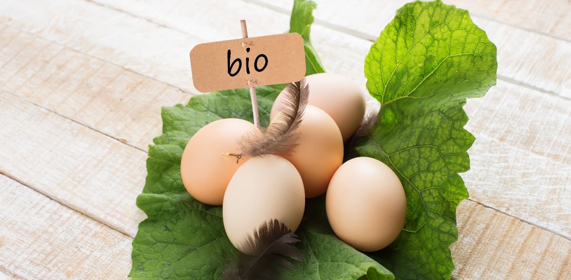 Sind Bio Eier die bessere Wahl?