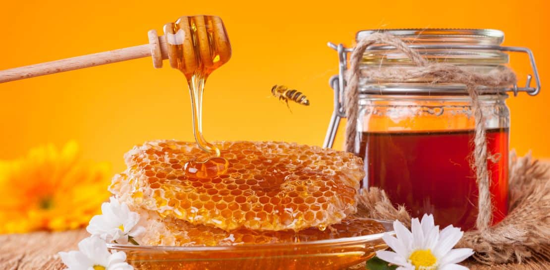 Bio Honig – die Haltung spielt die Hauptrolle