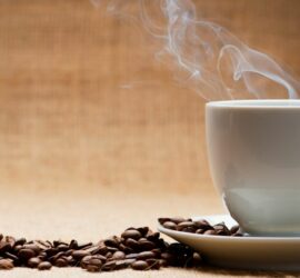 Warum biologisch angebauter Kaffee die bessere Wahl ist